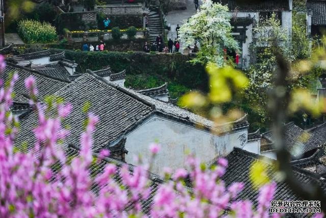 你好,我是梨白桃红、油菜花黄满山野的婺源