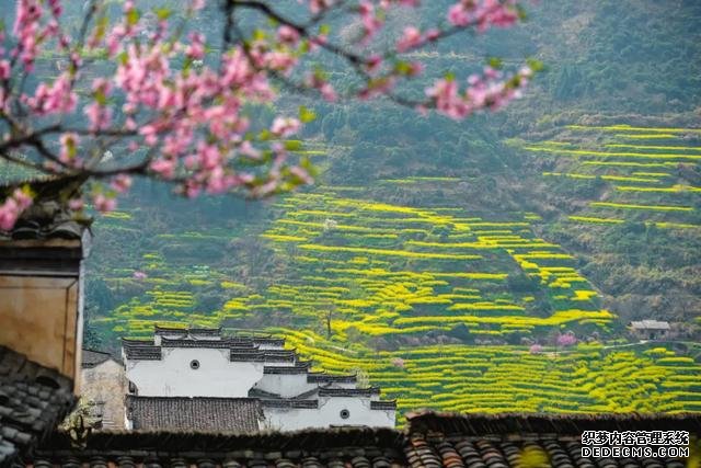 你好,我是梨白桃红、油菜花黄满山野的婺源