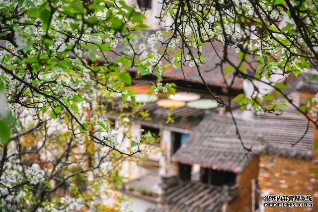你好,我是梨白桃红、油菜花黄满山野的婺源