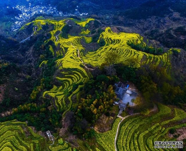 你好,我是梨白桃红、油菜花黄满山野的婺源