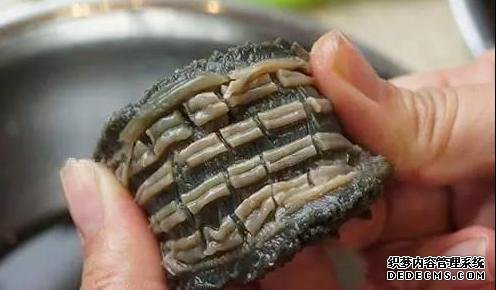 海参还能这样吃:详细泡发方法和做法步骤,滋补养颜,强身抗衰老