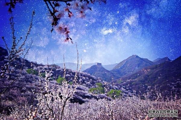 北京最美杏花所在地,人少景美,已正式进入花期