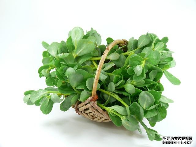 春分时节这菜要抓紧吃,再晚又得等1年,路边随处可见,营养丰富