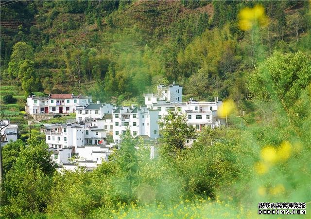 实拍中国最美乡村的春天,婺源万亩油菜花盛放,云海梯田天上人间
