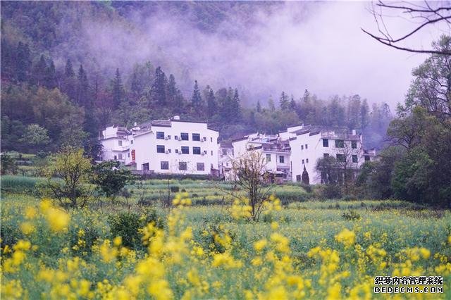 实拍中国最美乡村的春天,婺源万亩油菜花盛放,云海梯田天上人间