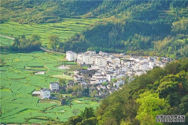 实拍中国最美乡村的春天,婺源万亩油菜花盛放,云海梯田天上人间