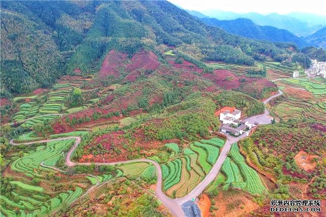 实拍中国最美乡村的春天,婺源万亩油菜花盛放,云海梯田天上人间