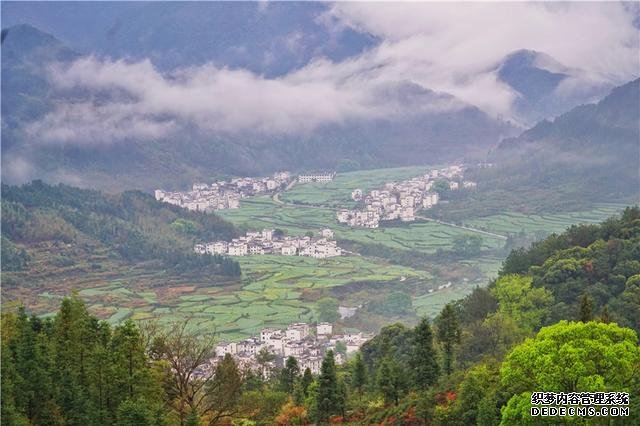 实拍中国最美乡村的春天,婺源万亩油菜花盛放,云海梯田天上人间