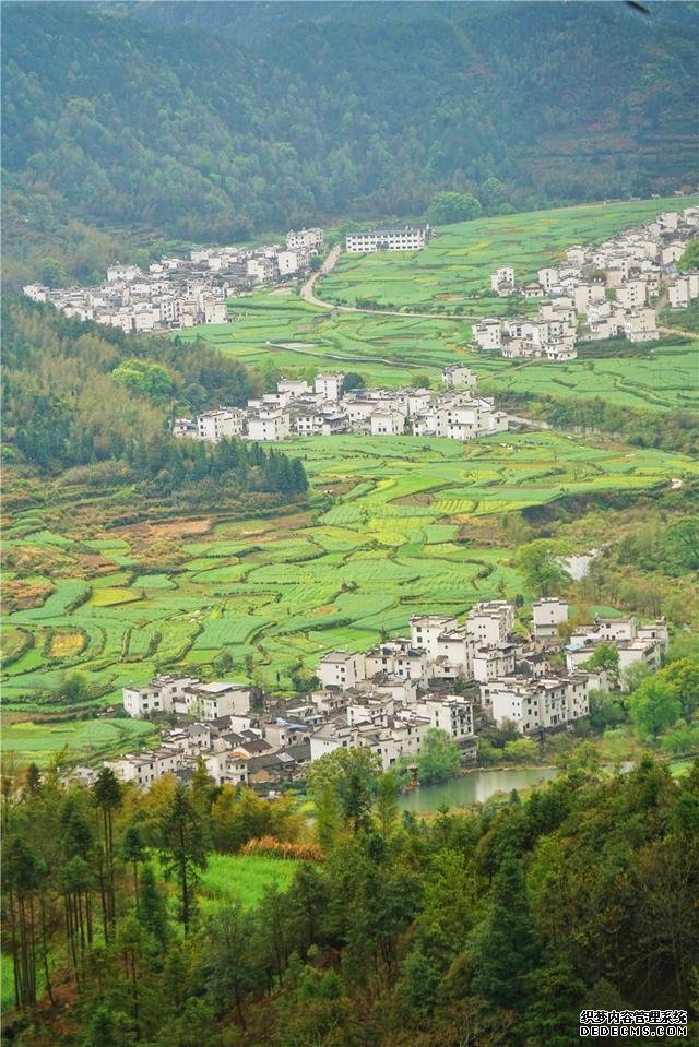 实拍中国最美乡村的春天,婺源万亩油菜花盛放,云海梯田天上人间
