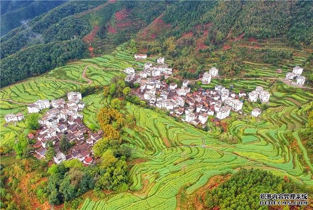实拍中国最美乡村的春天,婺源万亩油菜花盛放,云海梯田天上人间