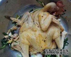 广东人最引以为傲的两种鸡，吃过了之后都说还想吃！