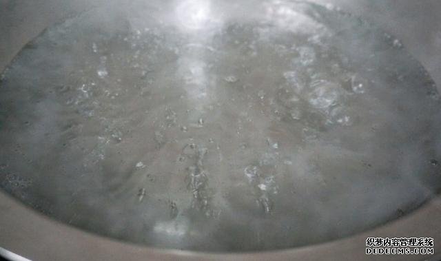 最正宗的蚝油生菜,快手简单还减肥,2块钱就能做一盘