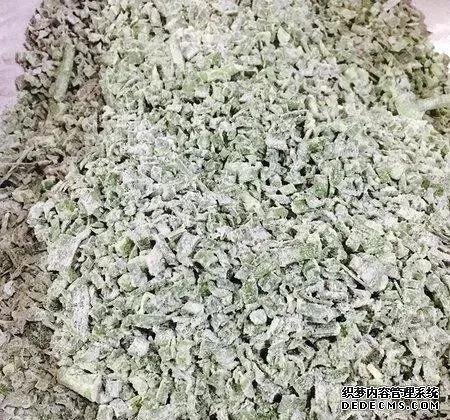 韭菜别再包饺子,教你一个新吃法,一口一个连挑食的老公都说过瘾