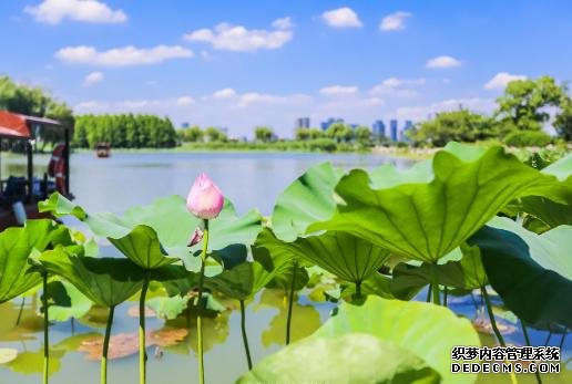 我国最能吃甜食的城市,每道菜都要放糖,北方游客纷纷受不了