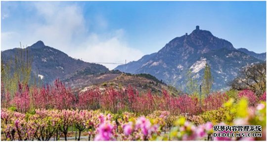 赏美景，品美食，拿福利！沂蒙山首条森林高空玻璃漂流免费体验