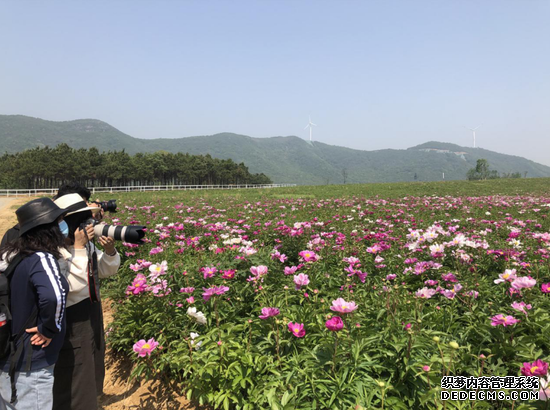 美景、美食、美拍 新浪安徽带队吃瓜