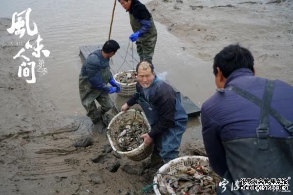 宁波人的这道美食藏不住了 陈晓卿为拍它在象山