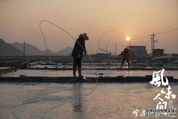 宁波人的这道美食藏不住了 陈晓卿为拍它在象山