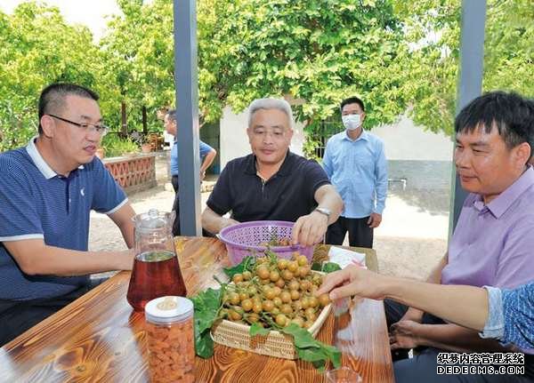 儋州市委书记代言邀您五一来摘水果品美食