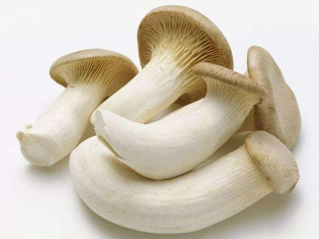 买杏鲍菇时,挑小的还是挑大的?卖菜的说漏嘴,以后可别再瞎买