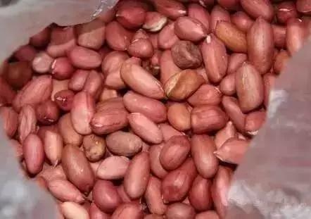 煮绿豆放这两样东西,清热解毒,气血双补