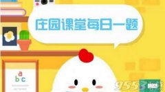 生活中的兔子更喜欢哪种