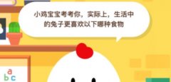 实际上生活中的兔子更喜