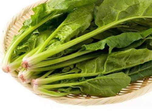 这菜加上猪肝一起煮汤,风味独特,还保护视力