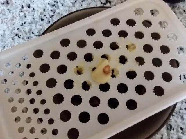做拌海带丝时,最忌讳这2种调料,10人做9人错,难怪不好吃腥味重
