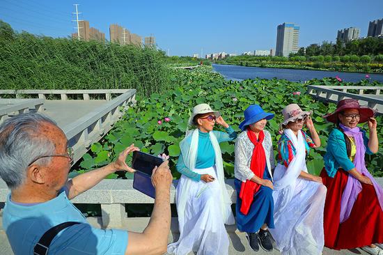 夏日新疆库尔勒杜鹃河湿地生态公园碧水秀荷美如画（图）