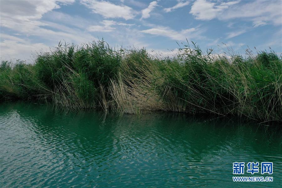 （环境）（5）探访新疆乌伦古湖国家湿地公园