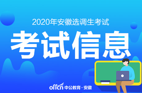 2020安徽选调生考试报名统计,3556人提交报名信息