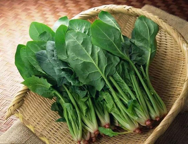这些食材不管多么新鲜,也要先焯水,不焯水就不能吃