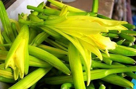 这些食材不管多么新鲜,也要先焯水,不焯水就不能吃