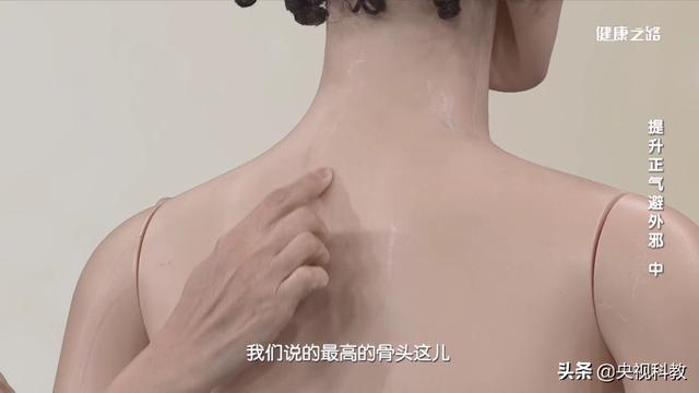 巧祛痰湿,增强抗病力,“两点一面”是关键