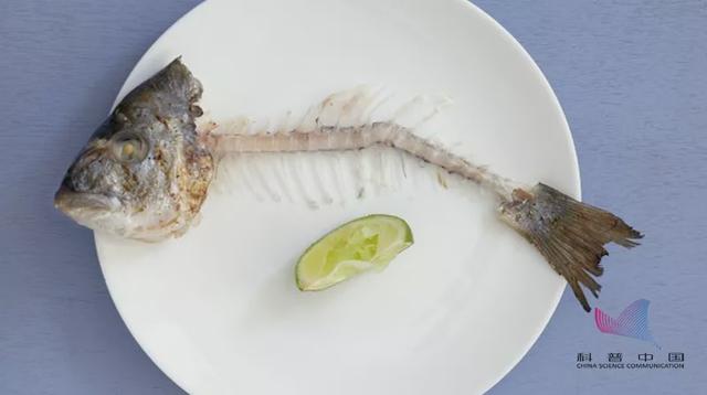 鱼刺卡喉咙,喝醋、吃馒头吞饭有用吗?答案全在这