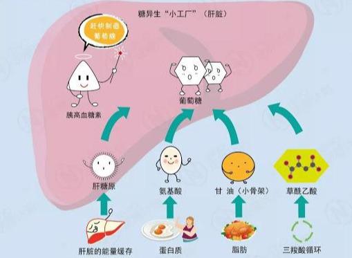 现代人的健身问题溯源:我的心理状态早已追不上刻苦训练的自己