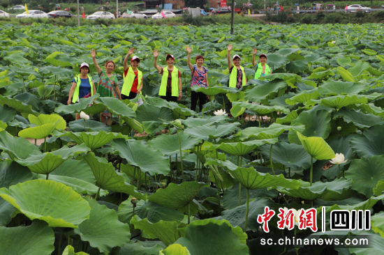 大家在荷花中合影。周滎鸿 摄