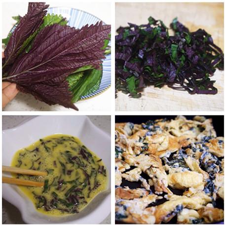 去胃寒,菜肴里加点儿紫苏叶最管用,就用这6道食谱增食欲健脾胃