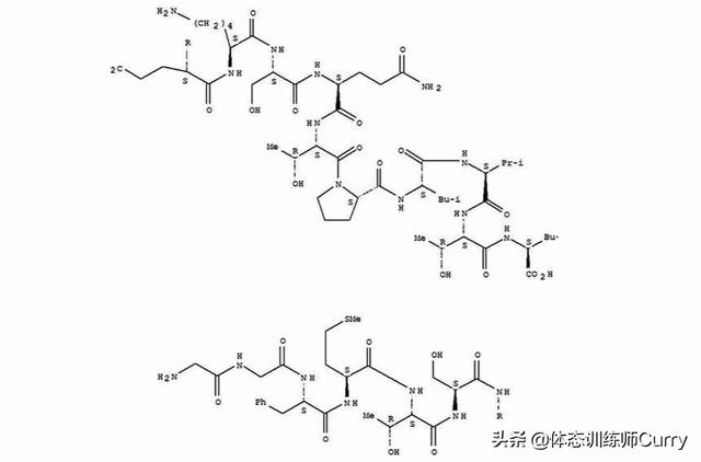 运动是如何改善情绪的?坚持正确健身可以让你精神更健康,更快乐