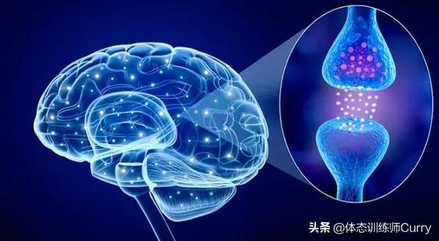 运动是如何改善情绪的?坚持正确健身可以让你精神更健康,更快乐