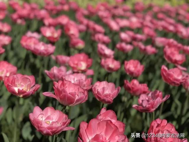 健康小知识;简单易学 效果显著 古人养生十六宜”做起来