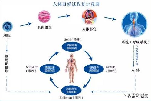 阿黛尔换人演了吗?200斤的体重减掉一半变纸片人,怎么做到的