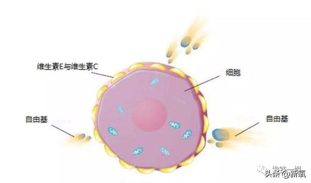 阿黛尔换人演了吗?200斤的体重减掉一半变纸片人,怎么做到的