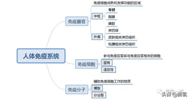 阿黛尔换人演了吗?200斤的体重减掉一半变纸片人,怎么做到的