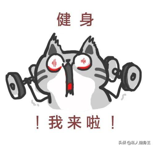 健身房10个力量训练动作教程,详细讲解,很适合初学者学习