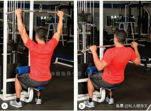 健身房10个力量训练动作教程,详细讲解,很适合初学者学习