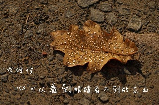 保持健康的心态:各种心态
