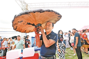 南华野生菌美食文化节启幕2020年08月09日 星期日