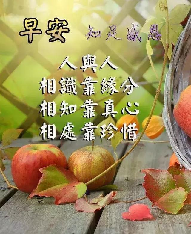 想要幸福,首先就要有一个健康的心态,早晨好